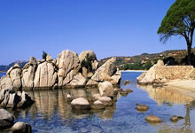 KAIYUN GROUP关于赛地聚焦——欧冠冲刺阶段热度飙升，萨克拉门托国王强势反弹，质疑声仍在，控场能力受关注的信息