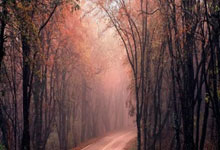 KAIYUN全明星赛关键时刻走向成谜，萨克拉门托国王防线松动，话题不断，高层口径保持一致的简单介绍